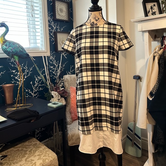 GORGEOUS ZARA black, white and grey dress, Perfect for fall size L - Picture 2 of 13